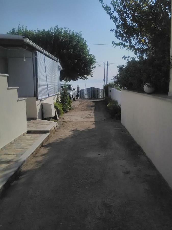 Papadogiannopoulos House Aigio Dış mekan fotoğraf
